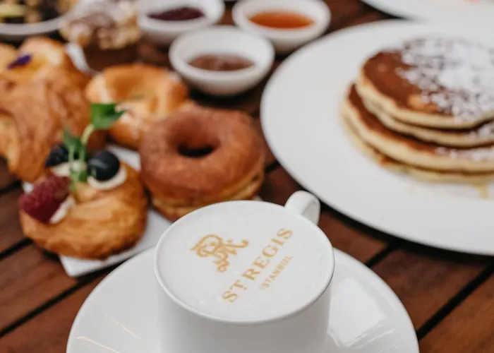 酒店 伊斯坦布尔瑞吉酒店 5*